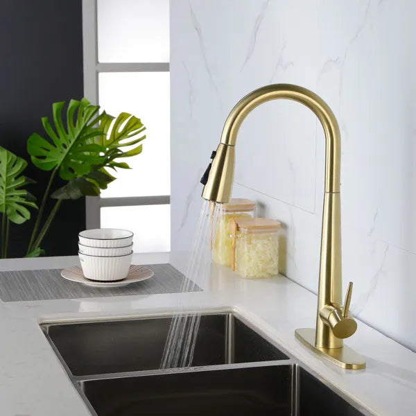 Gold Kitchen Faucets with Pull Down Sprayer; Kitchen Sink Faucet with Pull Out
