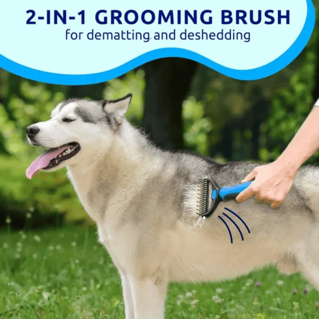 Blue pat your pet hair removal dog brush for hair removal indoor cats use cat - Image 4