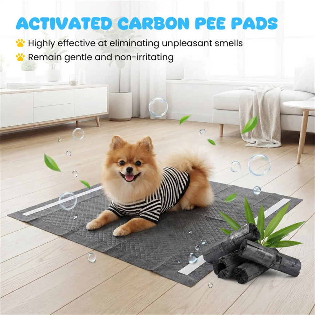 150 Pack Charcoal Dog Pee Pads 24 24 6 Layer Ultra Absorbent Pet Training Pads - Image 2
