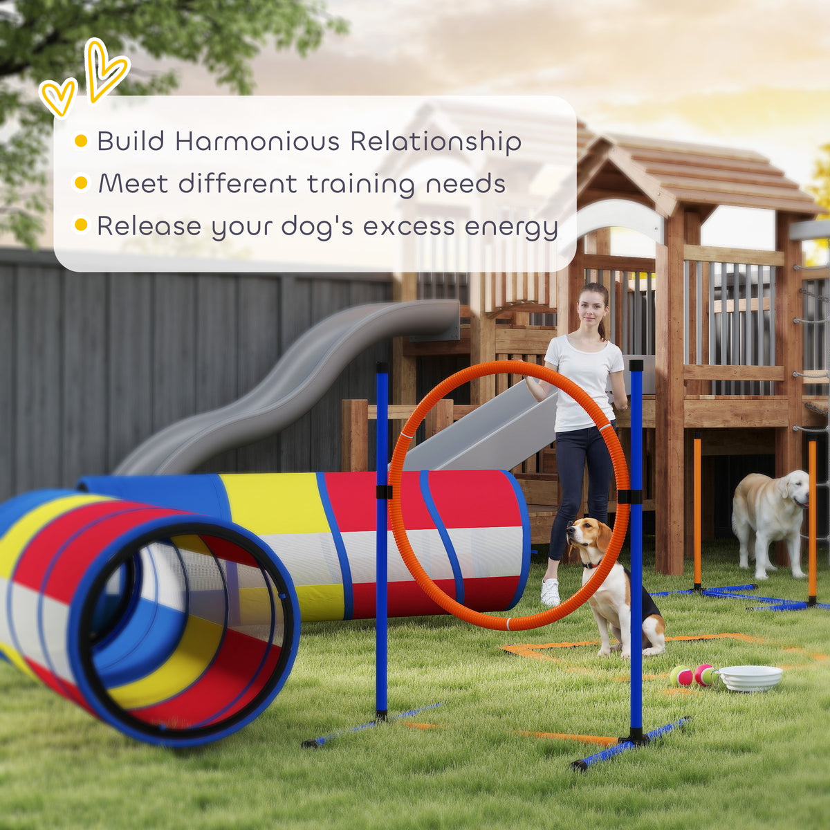 Dog Agility Training Equipment 12 Piece Dog Obstacle Course with Adjustable - Image 2
