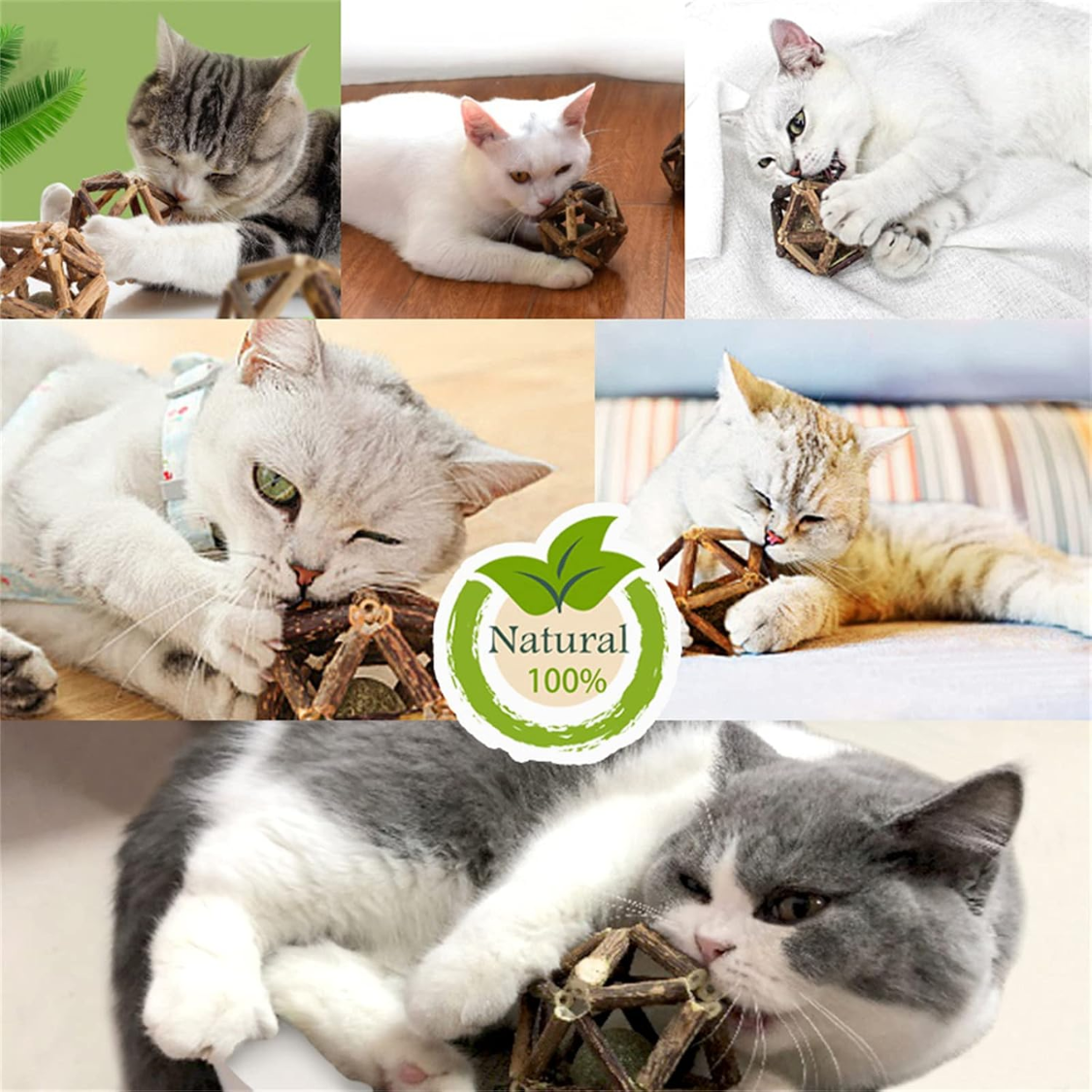 Natural Silvervine Stick Catnip Ball Bell Ball Cat Toys For Indoor Cats - Image 5