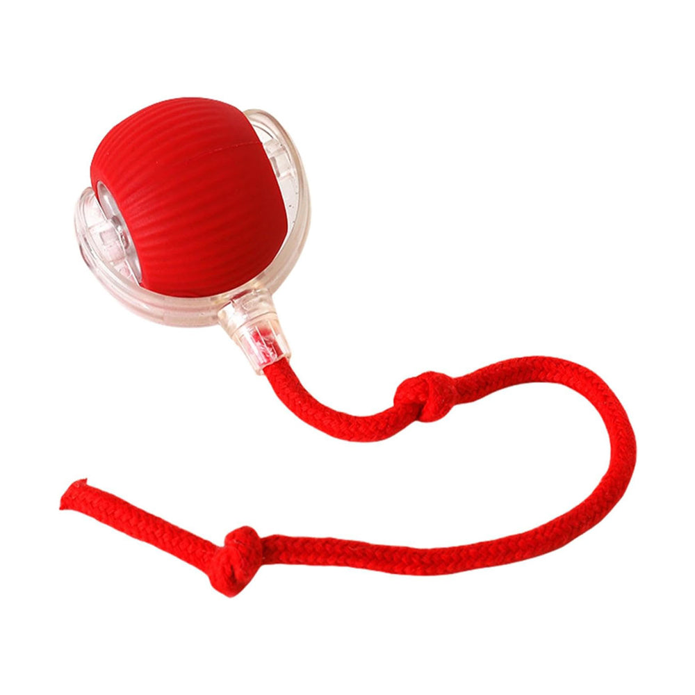 Electric Dog Cat Ball Toy Indoor Large And Small Cat Dog Interactive - Image 2