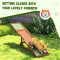 Wooden Dog Agility Seesaw for Training and Exercise Weather Resistant 83" L x