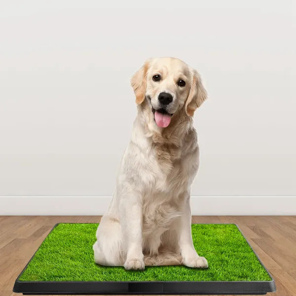 Dog Toilet Indoor Puppy Training Pad Dog Potty Pet Training Grass Mat - Image 2