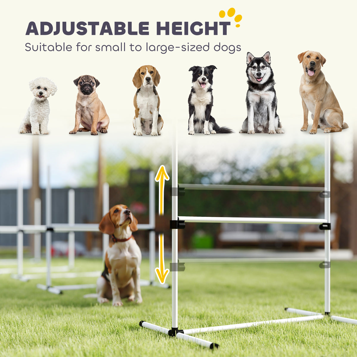 4 Piece Dog Agility Training Equipment for Dog Agility Course with Adjustable