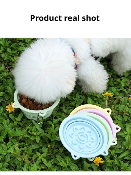 in pet travel collapsible bowl in use lifestyle