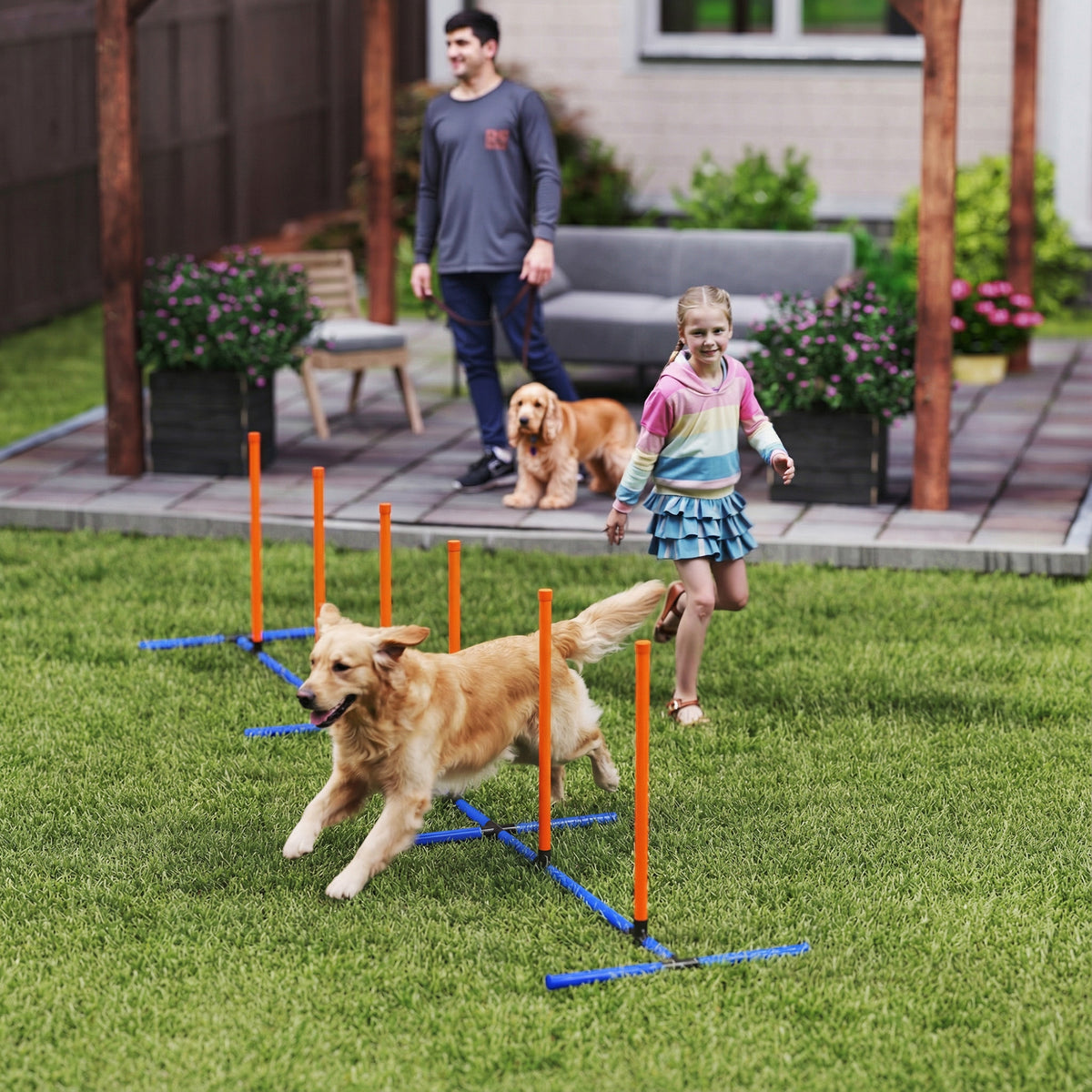 Dog Agility Training Equipment Adjustable Poles for Dog Agility Course with Carry Bag - Image 4