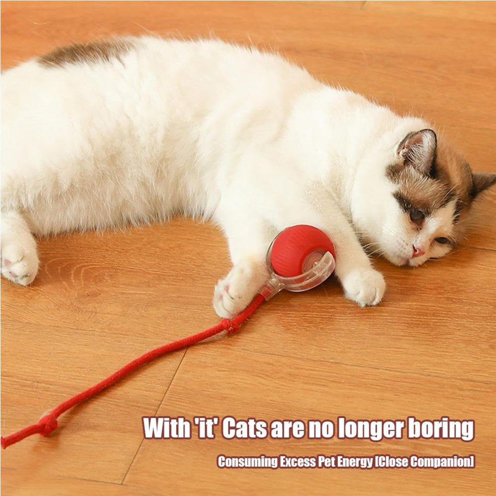 Electric Dog Cat Ball Toy Indoor Large And Small Cat Dog Interactive