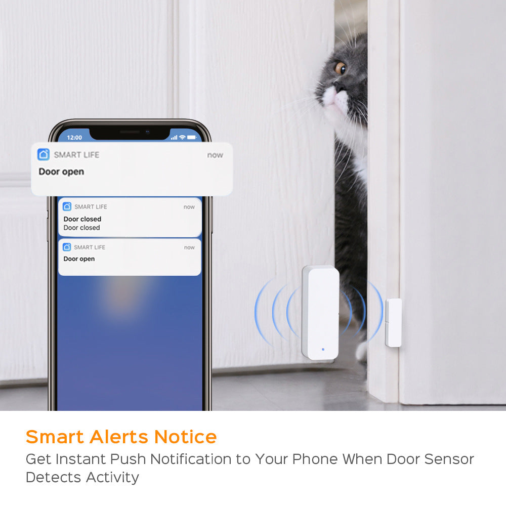 smart wifi magnetic door and detail and structure